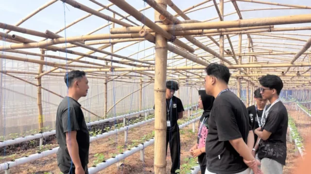 potensi dan tantangan UMKM Arjowilangun