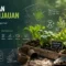 program penghijauan di Kampung Ngagel Rejo