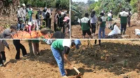 agroforestri dan konservasi lereng