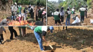 agroforestri dan konservasi lereng