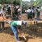 agroforestri dan konservasi lereng