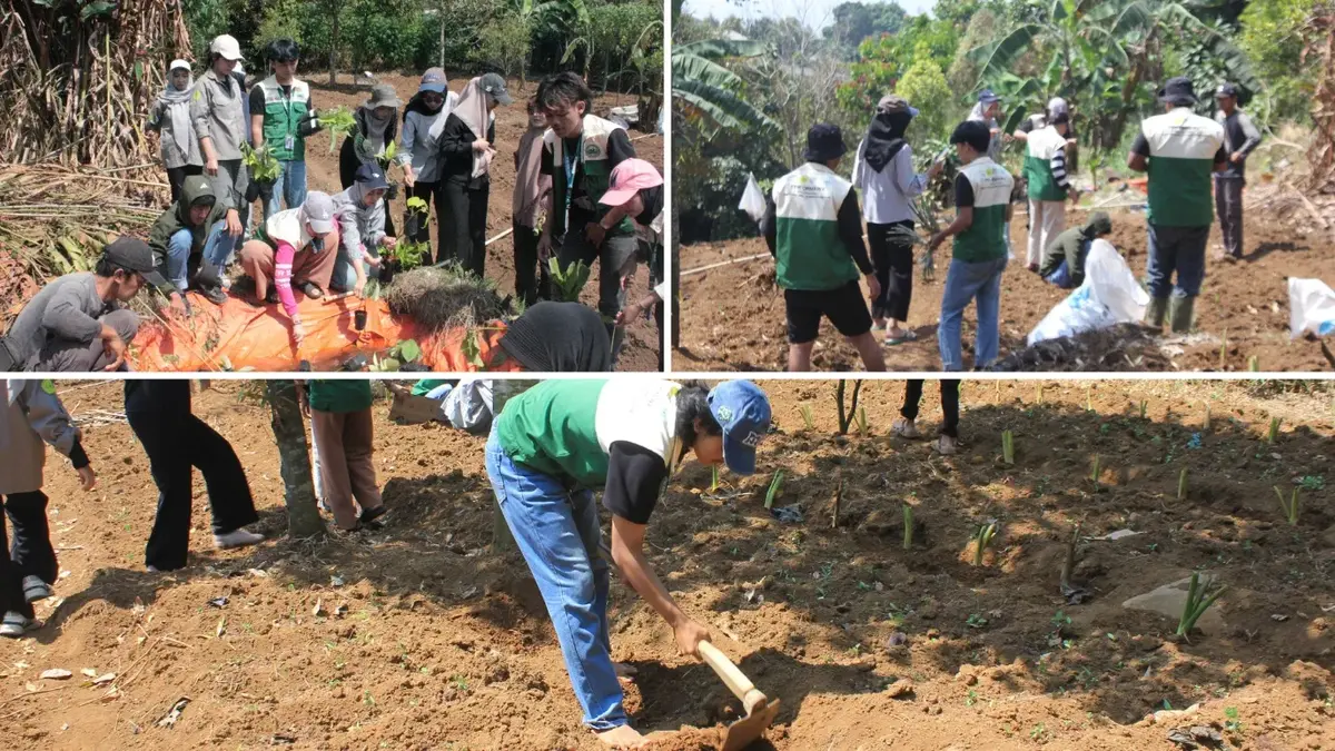 agroforestri dan konservasi lereng