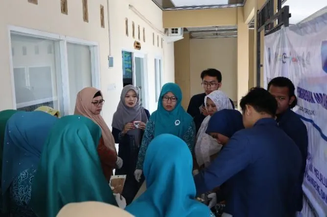 bubuk penyedap alami