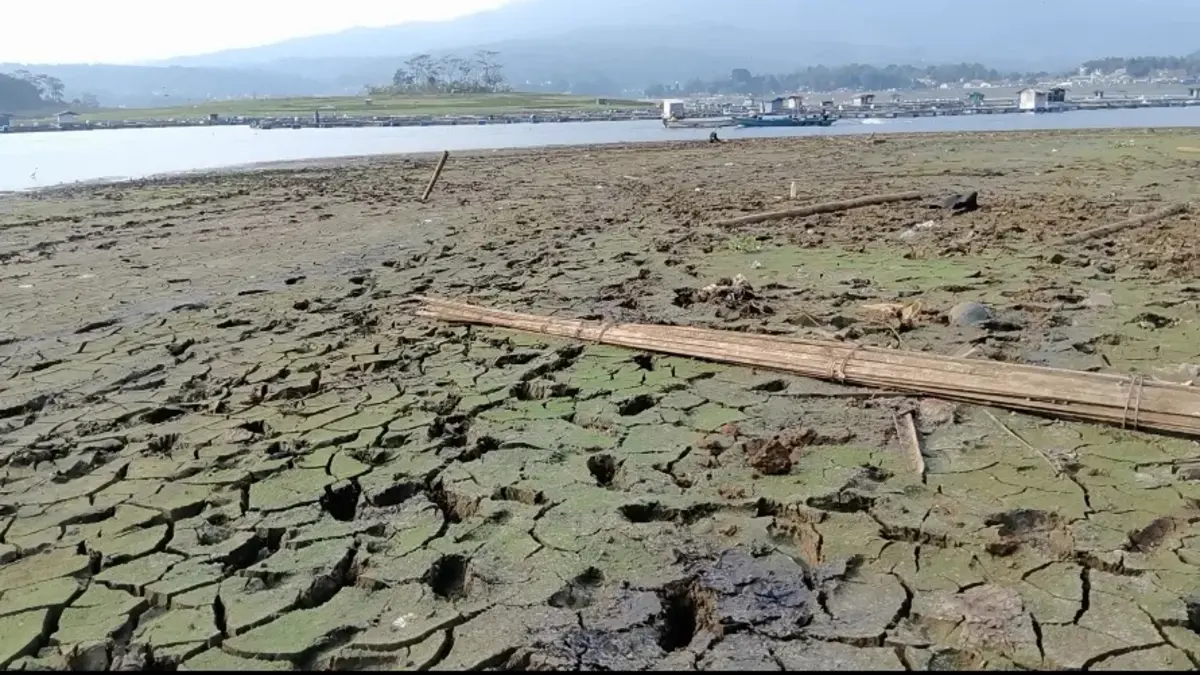 perilaku konsumen di Waduk Darma