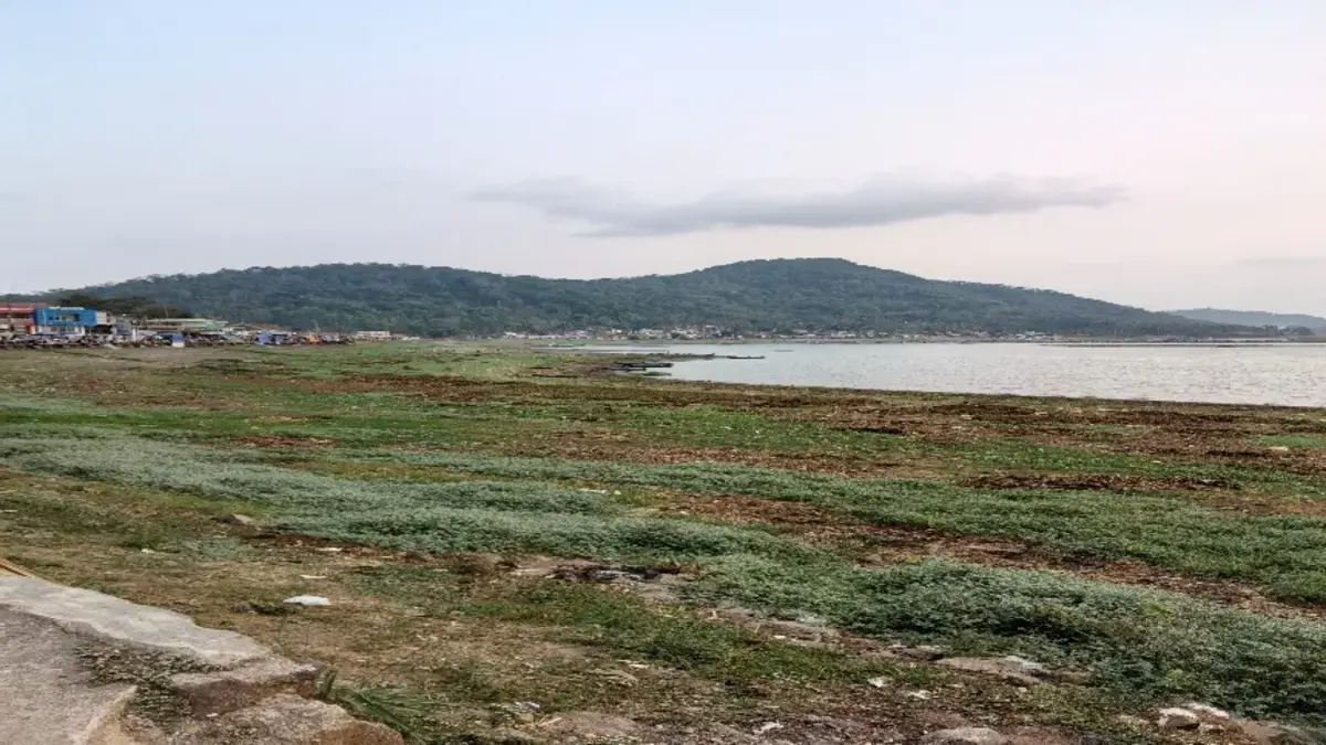 perilaku konsumen di Waduk Darma