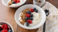 proses fermentasi yogurt